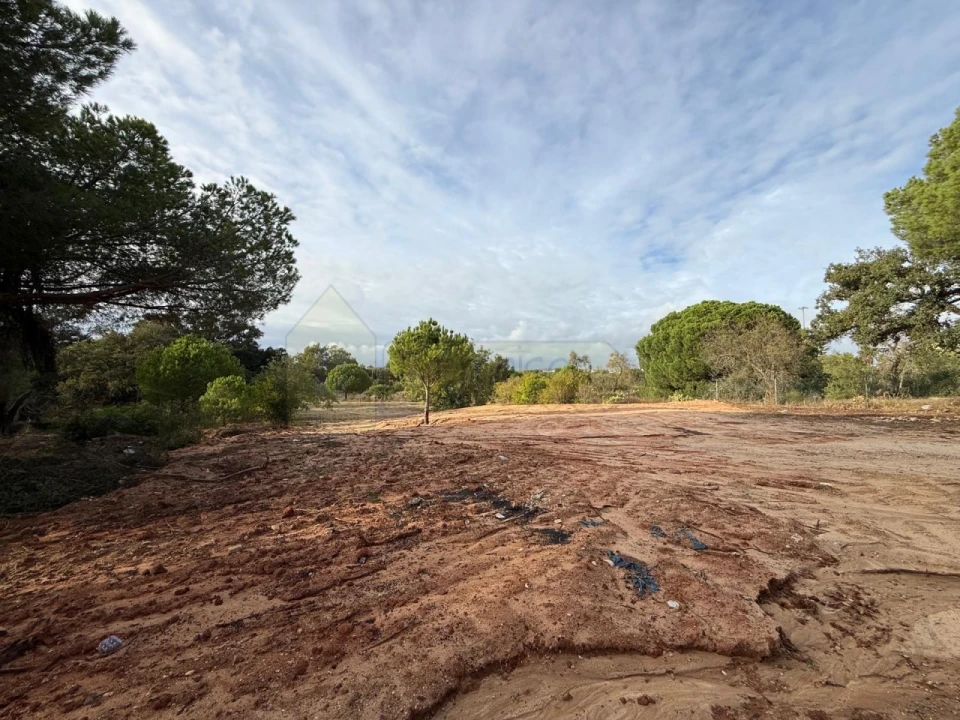 Terreno para Venda em Almancil Foto 15
