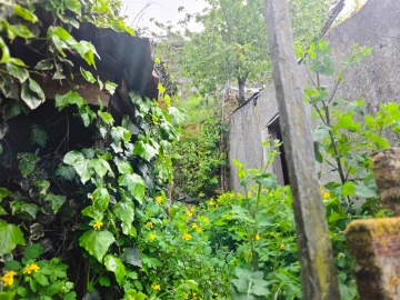 Moradia T3 para Venda em Lamego (Almacave e Sé)