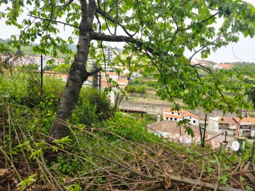 Moradia T3 para Venda em Lamego (Almacave e Sé)