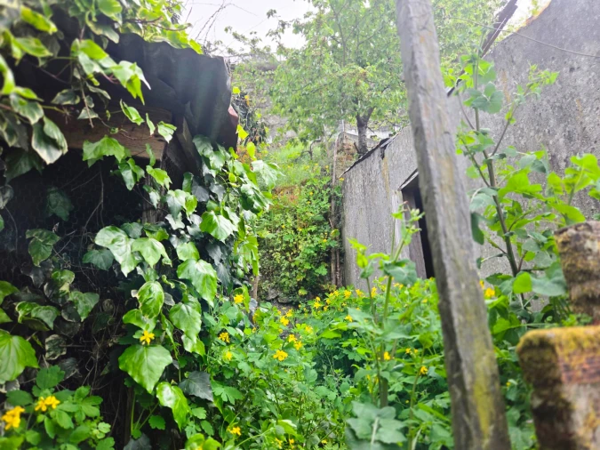 Moradia T3 para Venda em Lamego (Almacave e Sé) Foto 15