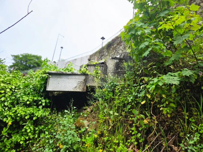 Moradia T3 para Venda em Lamego (Almacave e Sé) Foto 19