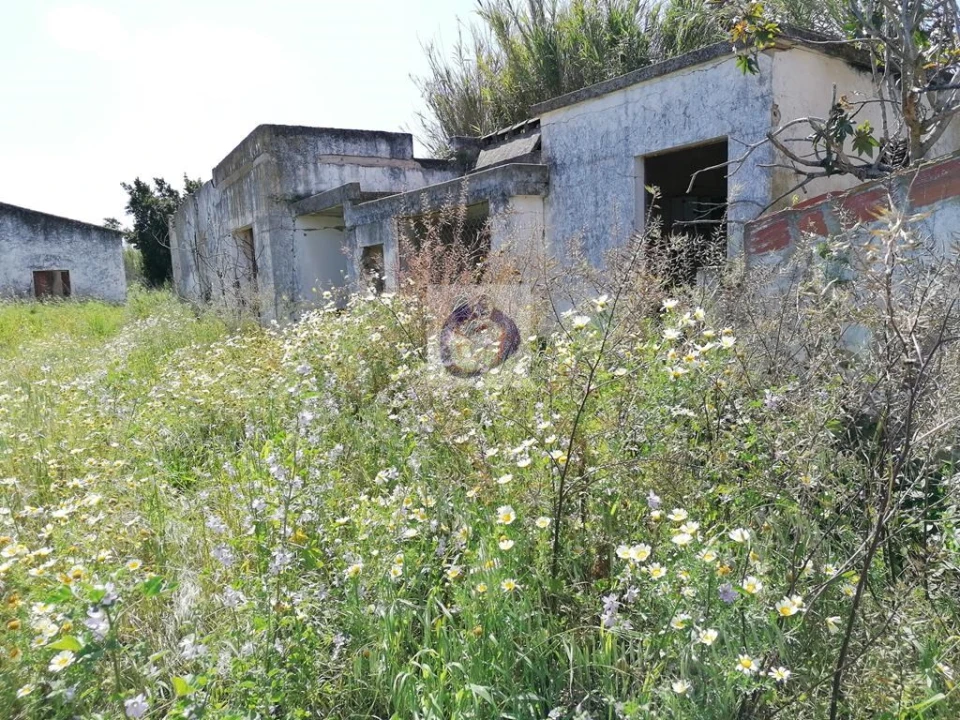 Quinta para Venda em Moncarapacho e Fuseta Foto 4