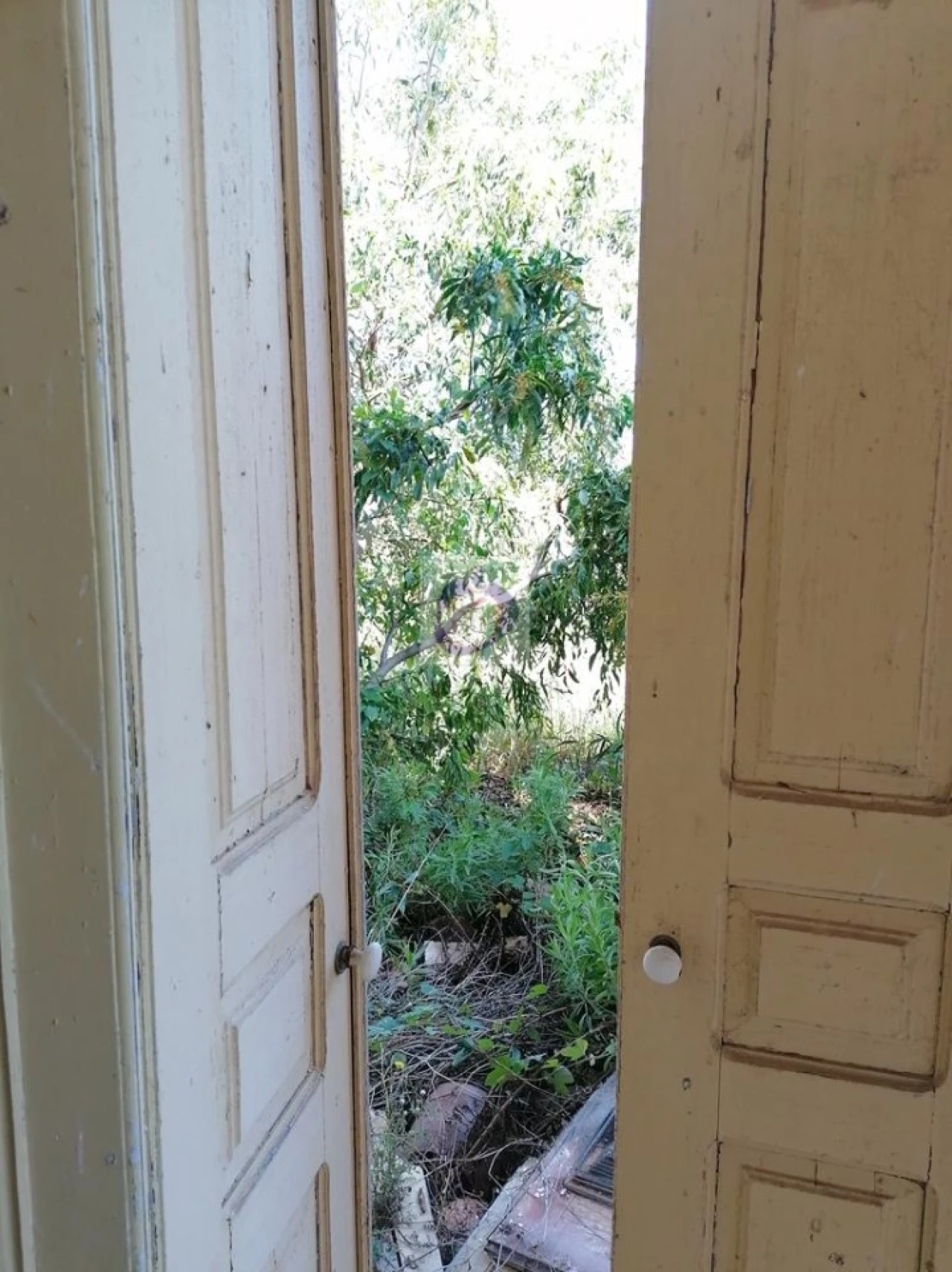 Quinta para Venda em Moncarapacho e Fuseta Foto 8