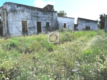Quinta para Venda em Moncarapacho e Fuseta