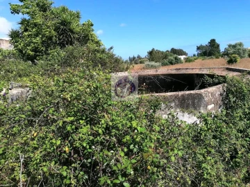 Quinta para Venda em Moncarapacho e Fuseta