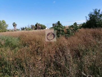 Quinta para Venda em Moncarapacho e Fuseta