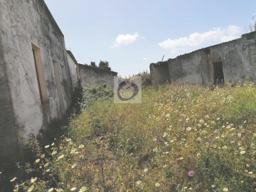 Quinta para Venda em Moncarapacho e Fuseta