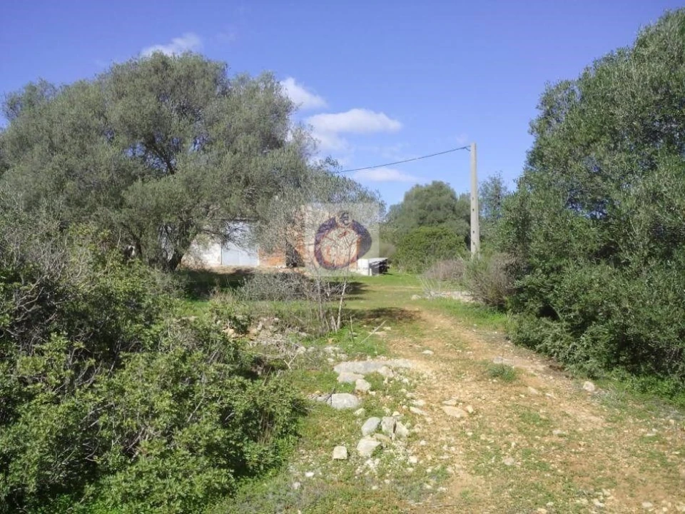 Quinta para Venda em Moncarapacho e Fuseta Foto 1
