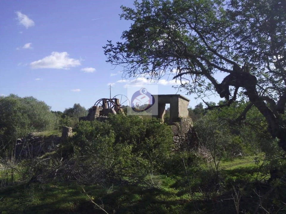 Quinta para Venda em Moncarapacho e Fuseta Foto 5