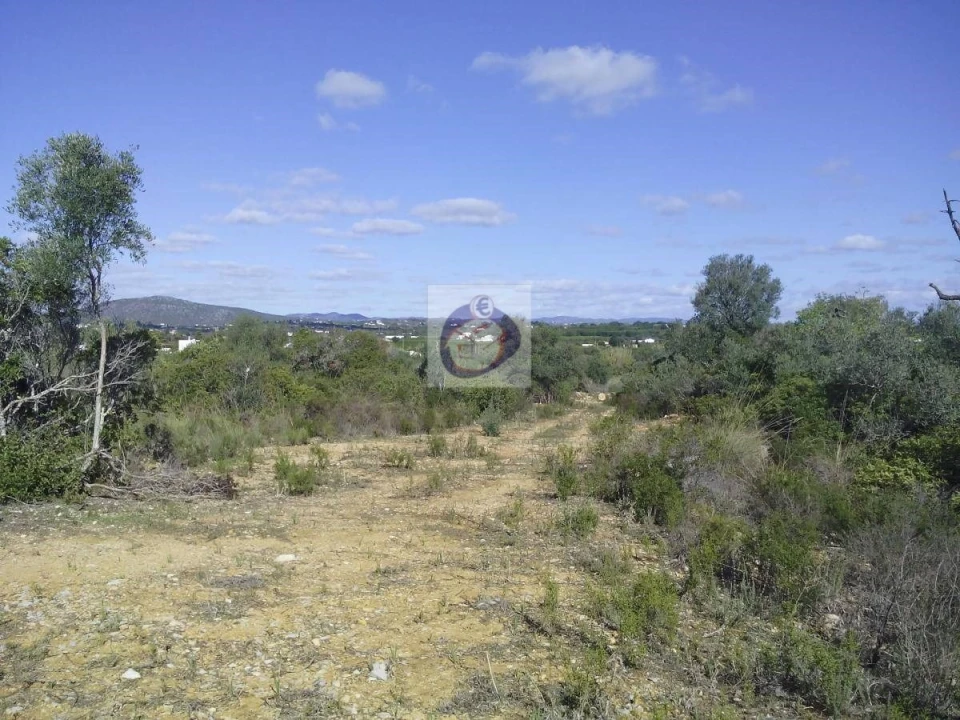 Quinta para Venda em Moncarapacho e Fuseta Foto 8