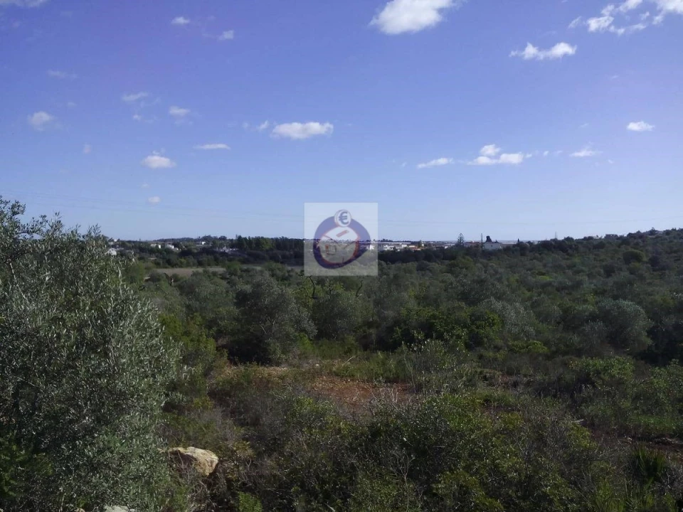 Quinta para Venda em Moncarapacho e Fuseta Foto 9