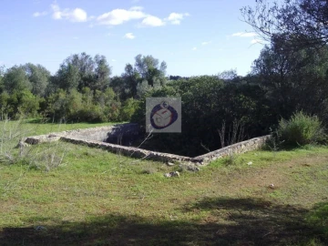 Quinta para Venda em Moncarapacho e Fuseta