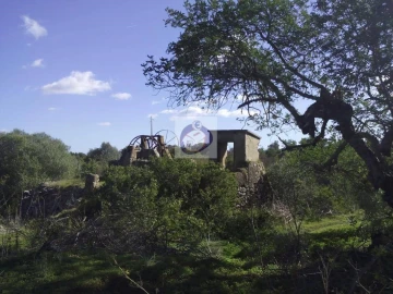 Quinta para Venda em Moncarapacho e Fuseta