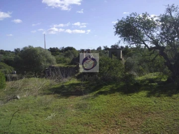 Quinta para Venda em Moncarapacho e Fuseta