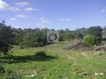 Quinta para Venda em Moncarapacho e Fuseta