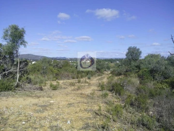 Quinta para Venda em Moncarapacho e Fuseta