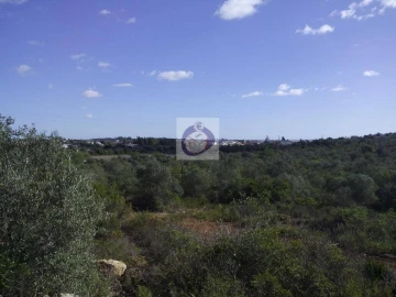 Quinta para Venda em Moncarapacho e Fuseta