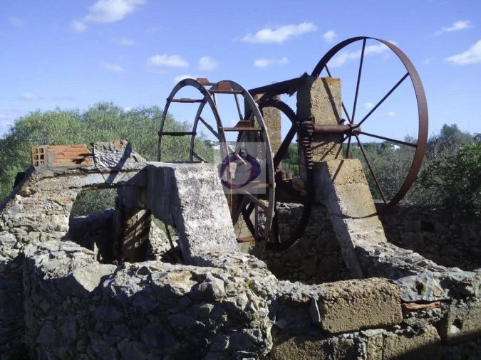 Quinta para Venda em Moncarapacho e Fuseta Foto 2