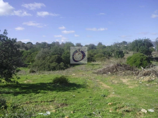 Quinta para Venda em Moncarapacho e Fuseta Foto 7