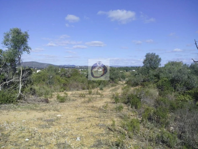 Quinta para Venda em Moncarapacho e Fuseta Foto 8