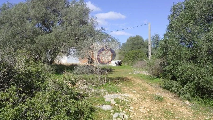 Quinta para Venda em Moncarapacho e Fuseta