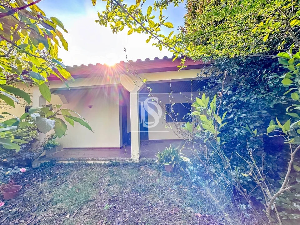 Moradia T1 para Venda em Vilar de Ferreiros Foto 2