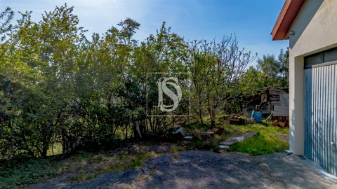 Moradia T1 para Venda em Vilar de Ferreiros