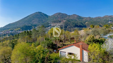 Moradia T1 para Venda em Vilar de Ferreiros