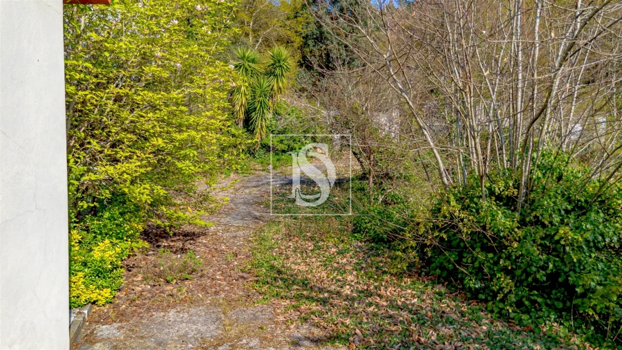 Moradia T1 para Venda em Vilar de Ferreiros Foto 23