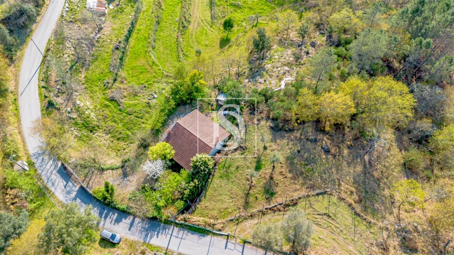 Moradia T1 para Venda em Vilar de Ferreiros Planta 1