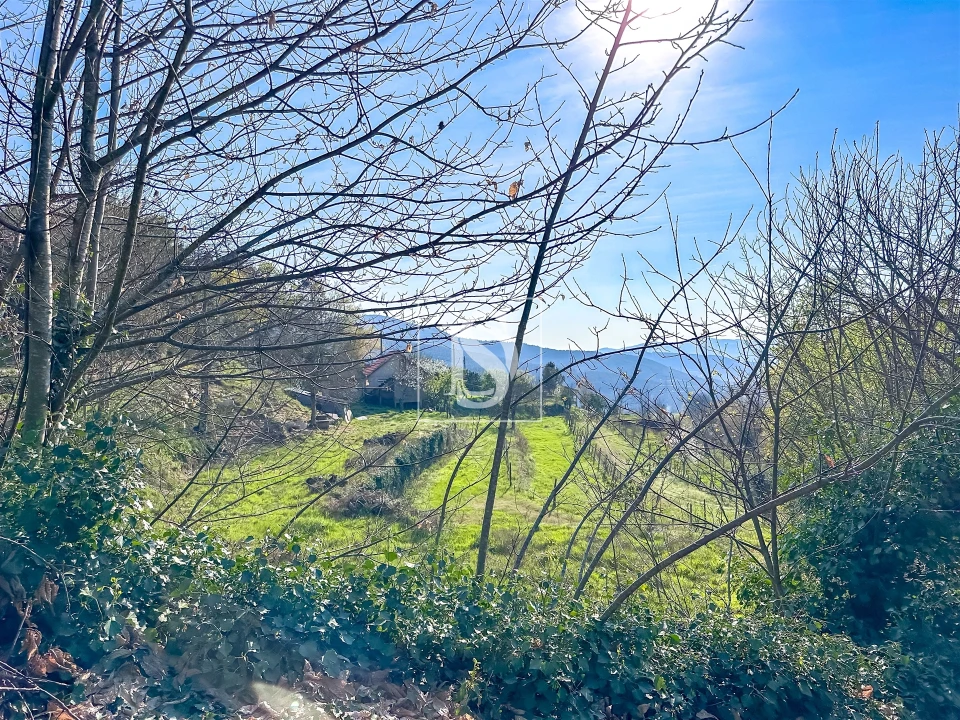 Moradia T1 para Venda em Vilar de Ferreiros Foto 31