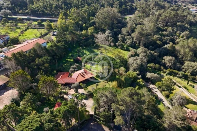 Quinta T5 para Venda em Santa Maria e São Miguel, São Martinho, São Pedro Penaferrim