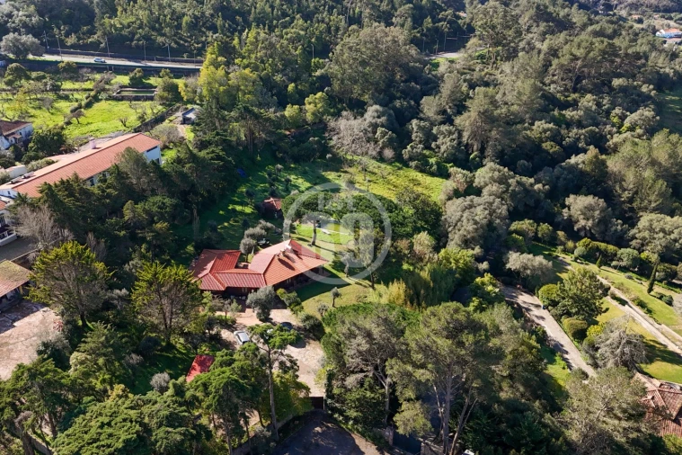 Quinta T5 para Venda em Santa Maria e São Miguel, São Martinho, São Pedro Penaferrim