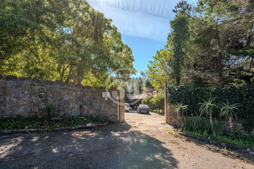 Moradia T5 para Venda em Santa Maria e São Miguel, São Martinho, São Pedro Penaferrim Foto 53