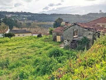 Moradia T4 para Venda em Jugueiros