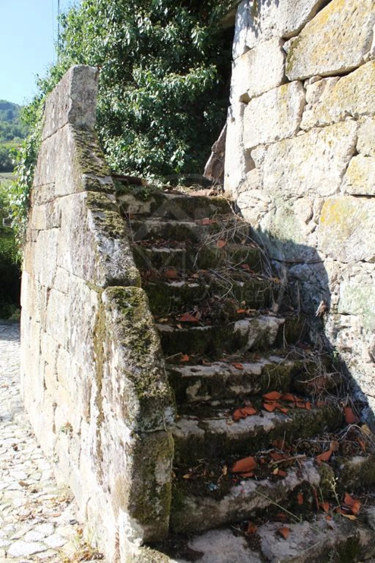 Moradia para Venda em Salvador e Santo Aleixo de Além-Tâmega Foto 7
