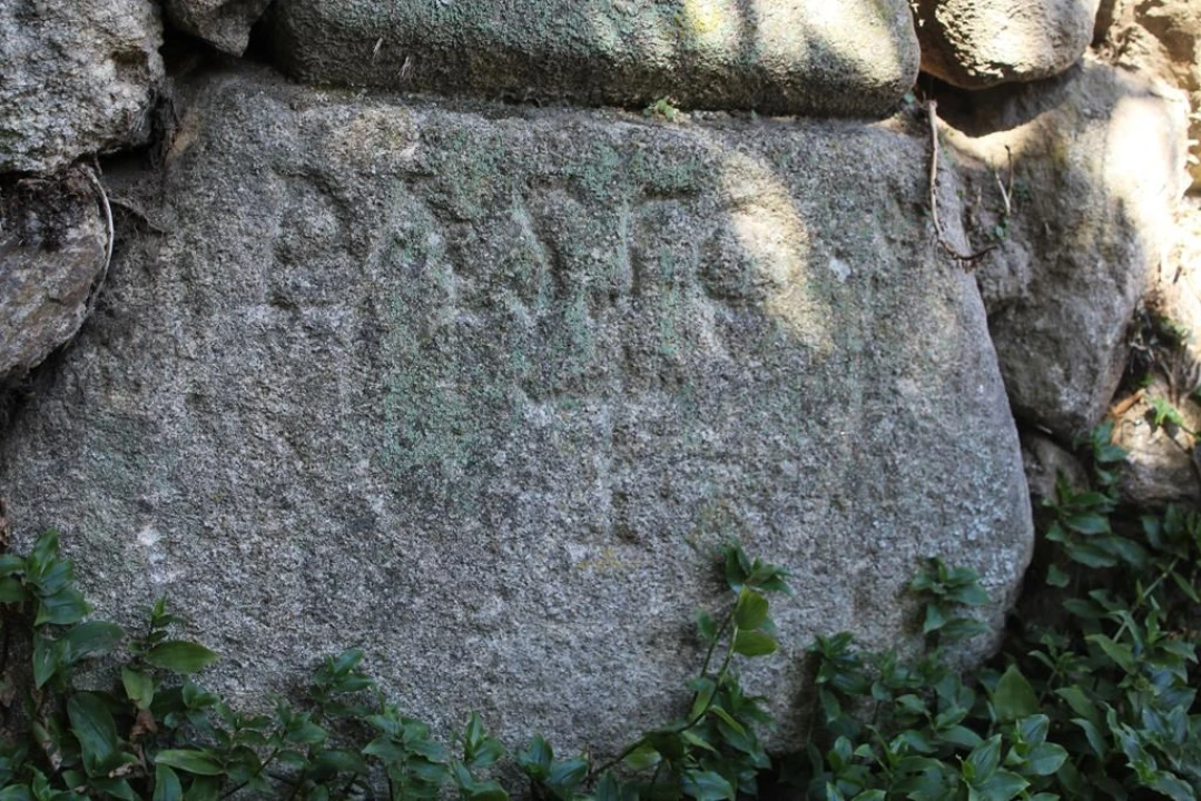 Moradia para Venda em Salvador e Santo Aleixo de Além-Tâmega Foto 8