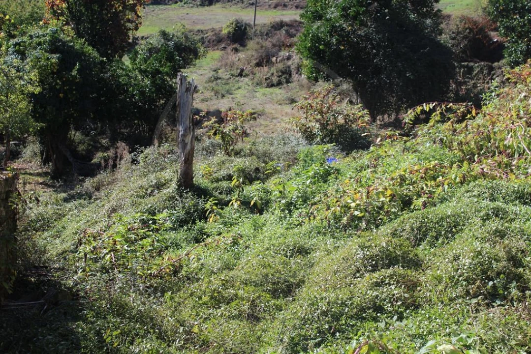Moradia para Venda em Salvador e Santo Aleixo de Além-Tâmega Foto 10