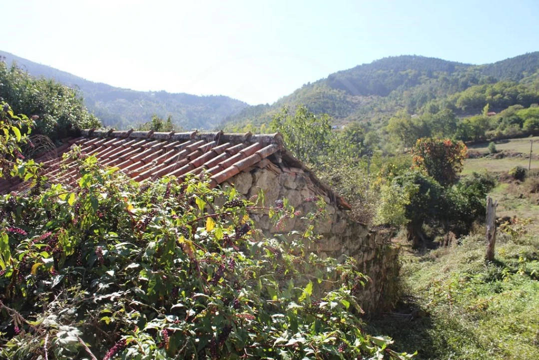 Moradia para Venda em Salvador e Santo Aleixo de Além-Tâmega Foto 11