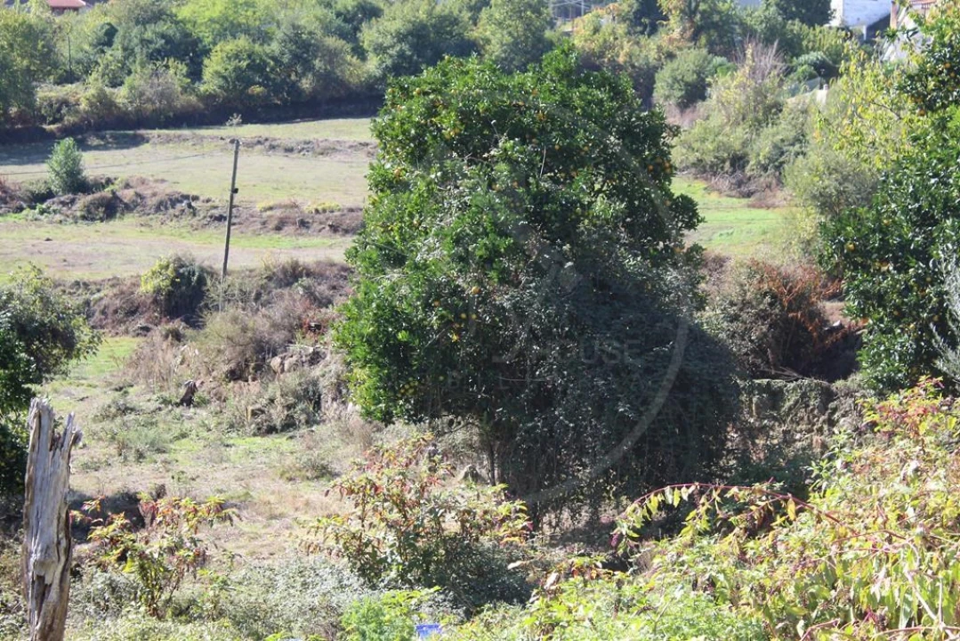 Moradia para Venda em Salvador e Santo Aleixo de Além-Tâmega Foto 12