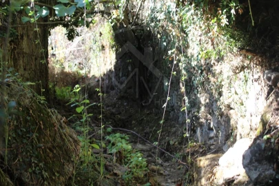 Moradia para Venda em Salvador e Santo Aleixo de Além-Tâmega