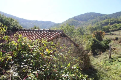 Moradia para Venda em Salvador e Santo Aleixo de Além-Tâmega