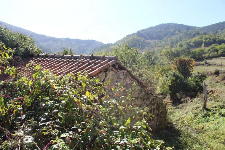 Moradia para Venda em Salvador e Santo Aleixo de Além-Tâmega Foto 11