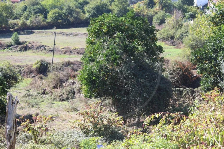 Moradia para Venda em Salvador e Santo Aleixo de Além-Tâmega Foto 12