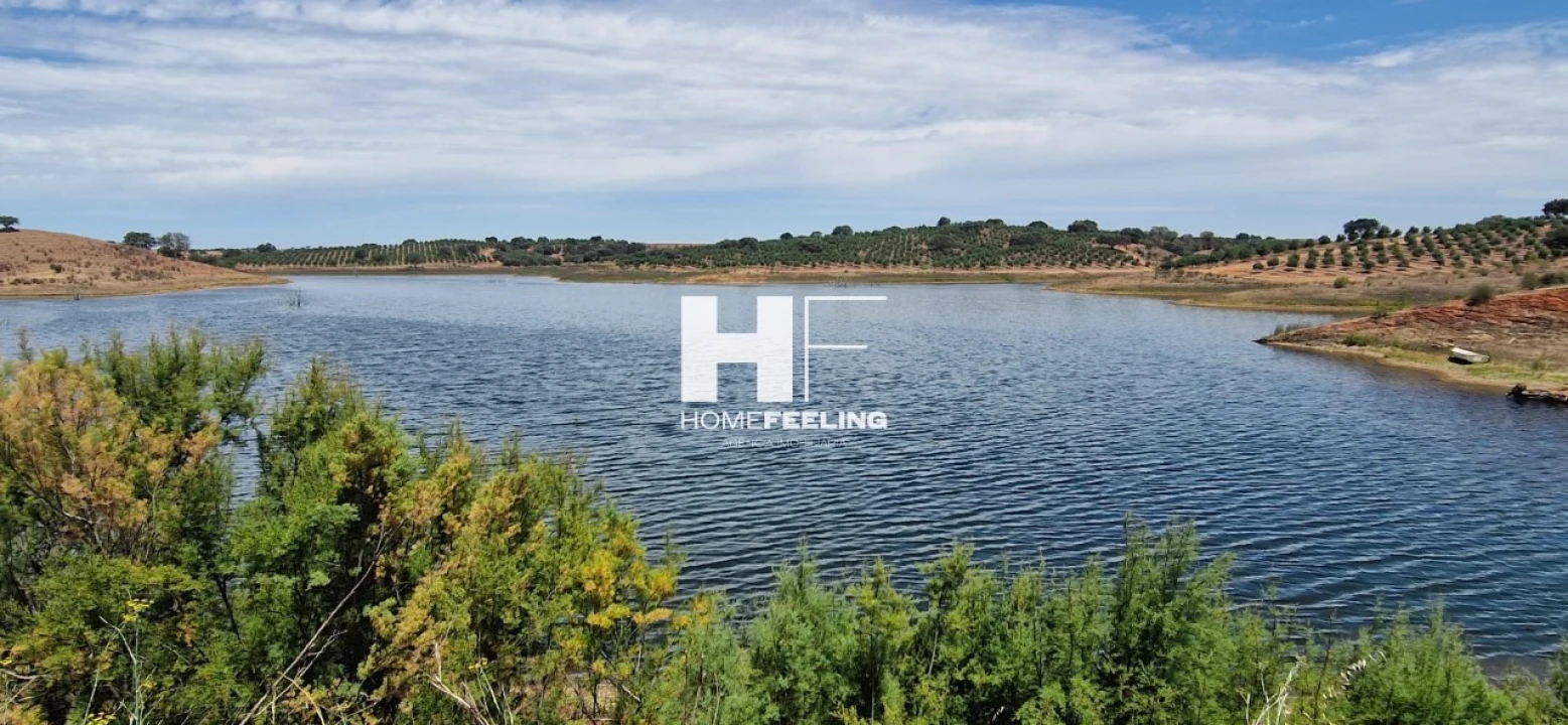 Quinta para Venda em Salvada e Quintos Foto 1