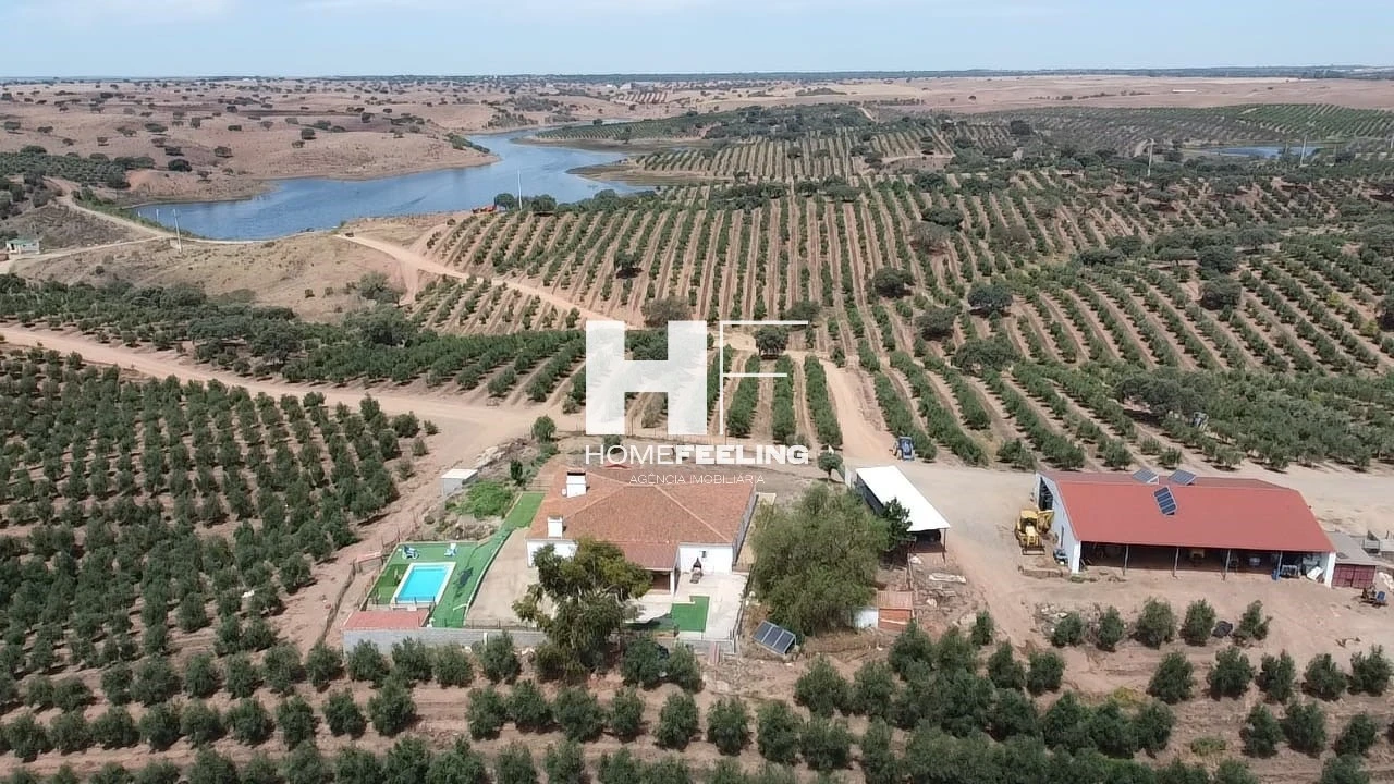 Quinta para Venda em Salvada e Quintos Foto 9