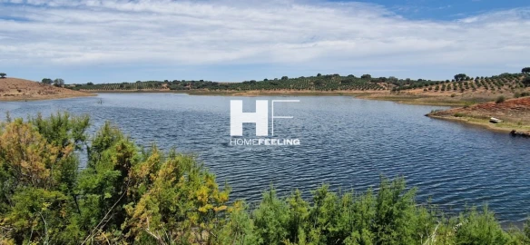 Quinta para Venda em Salvada e Quintos