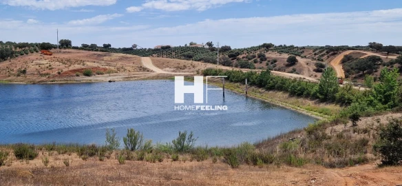 Quinta para Venda em Salvada e Quintos