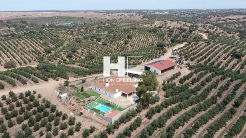 Quinta para Venda em Salvada e Quintos