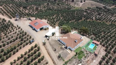 Quinta para Venda em Salvada e Quintos